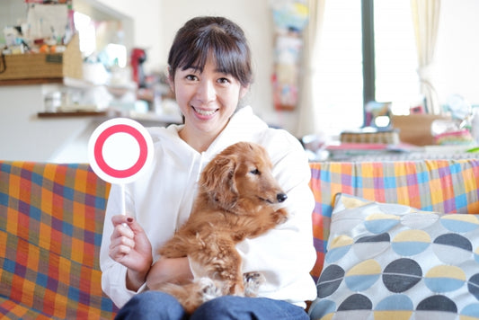 ペットのお悩み解決!鳴き声や臭いの対策に機能性カーテン!