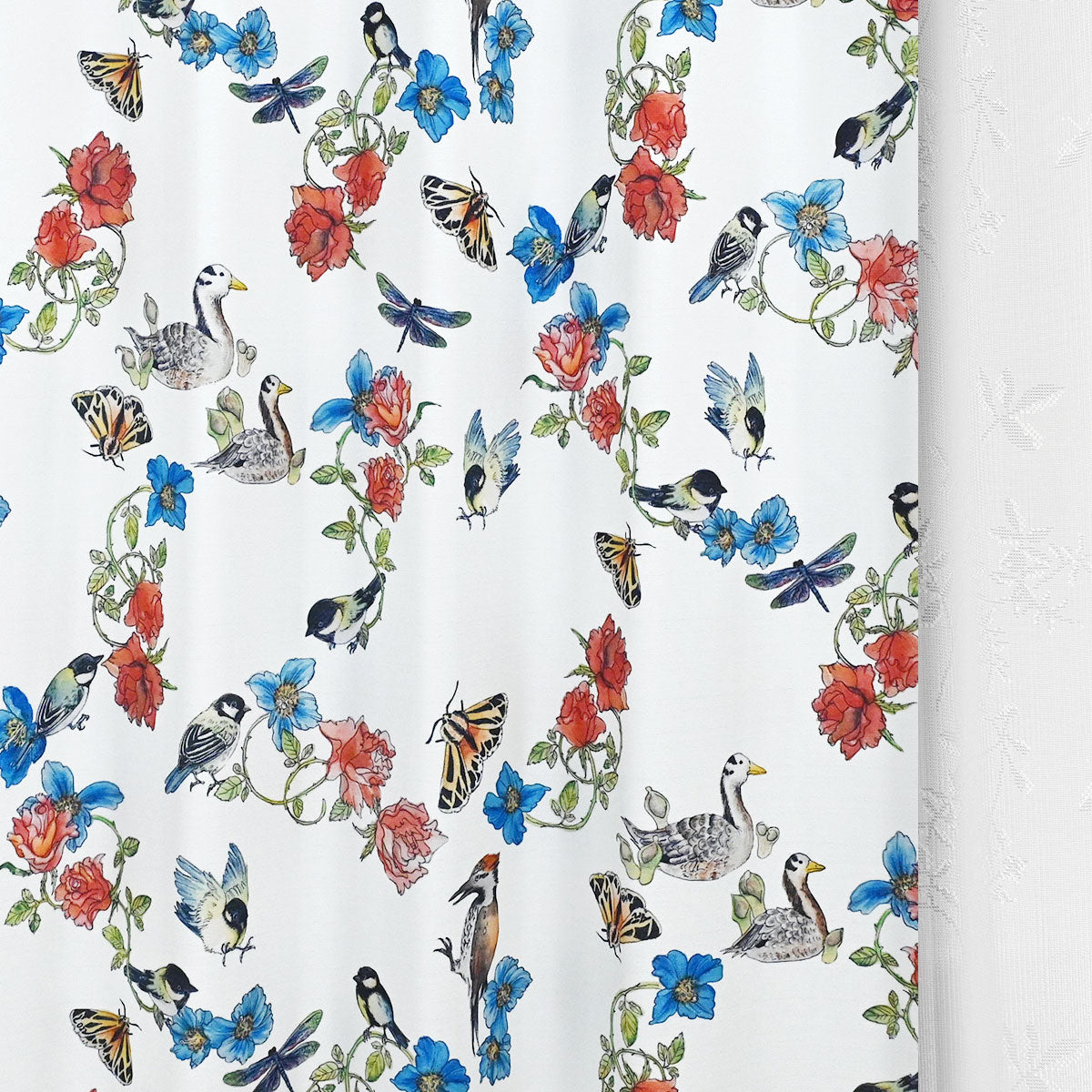 Anko|アーティストコラボ|完全遮光|1cmオーダー|【art】