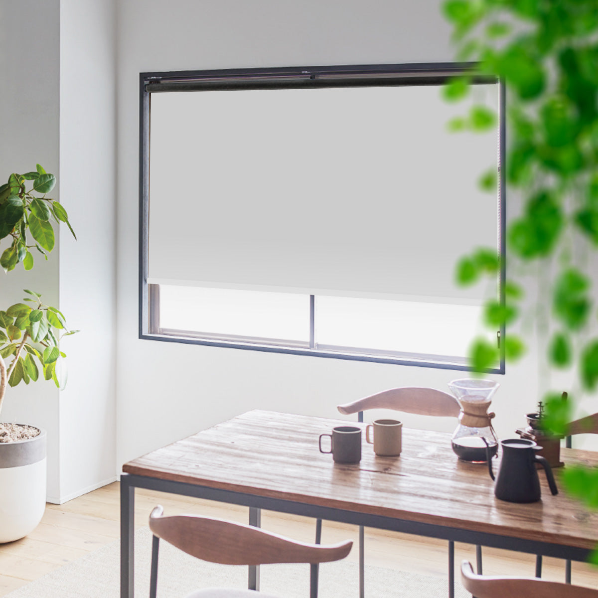 無地|ロールスクリーン|ゼファー|完全遮光|